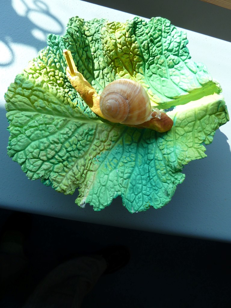 Schnecken cycle 2.1 201314 3